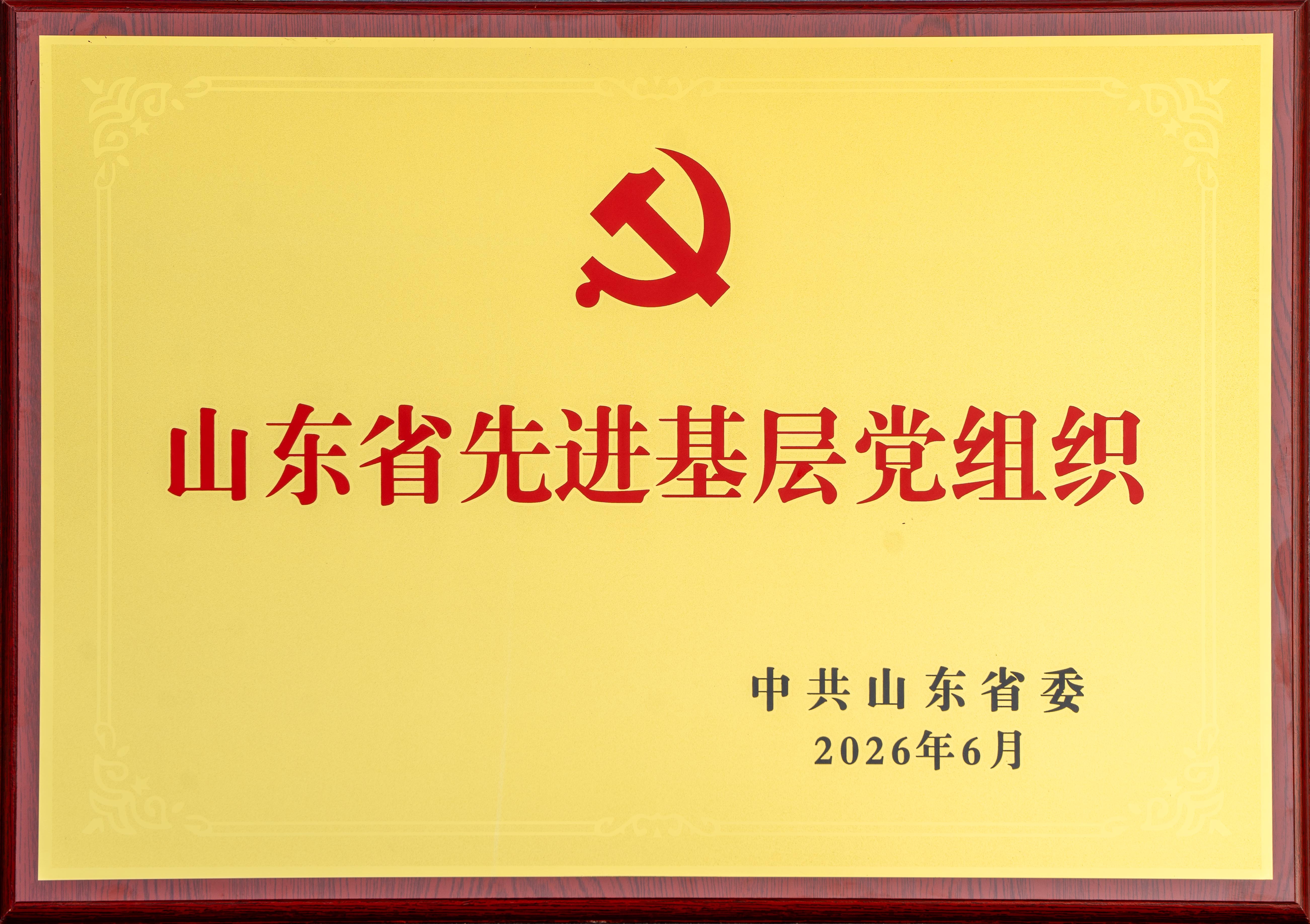 2026.6山东雅博app官方入口股份有限公司文化用纸事业部党支部荣获“山东省先进基层党组织”奖牌.jpg